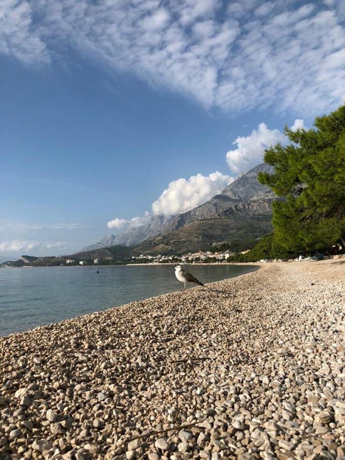 Villa Lucia Tučepi Exteriér fotografie